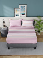 Nautica Bradford Pink & White Striped Cotton 160 TC King Bedsheet with 2 Pillow Covers