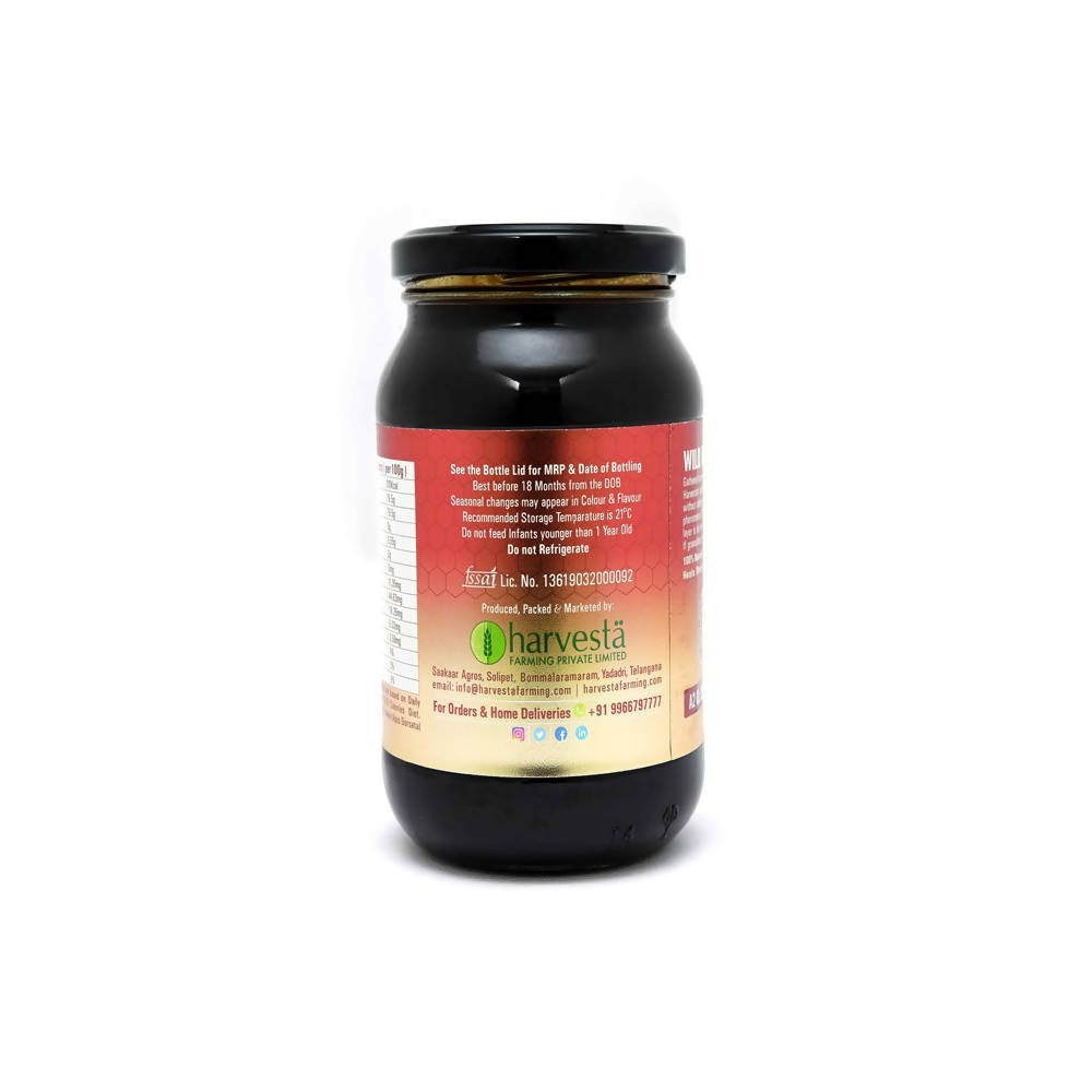 Nature's Trunk Wild Honey (Multi-Floral)