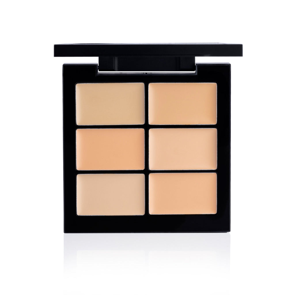 PAC Studio Go Light - Concealer X6