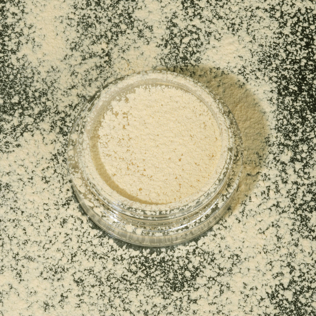 PAC Studio Translucent Powder (Mini) - 04 - Distacart