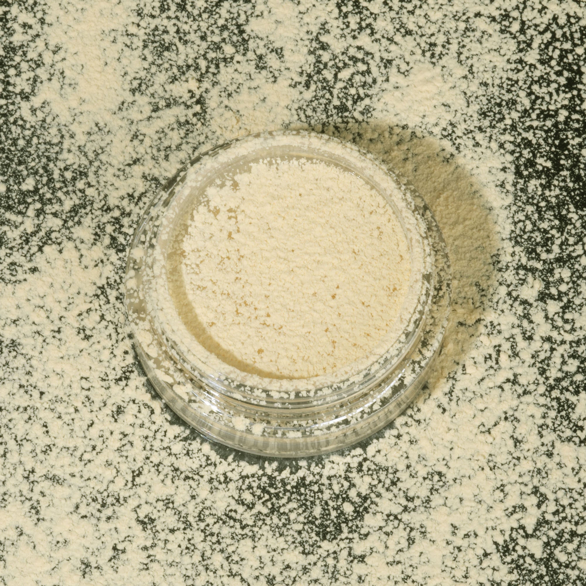 PAC Studio Translucent Powder (Mini) - 04 - Distacart