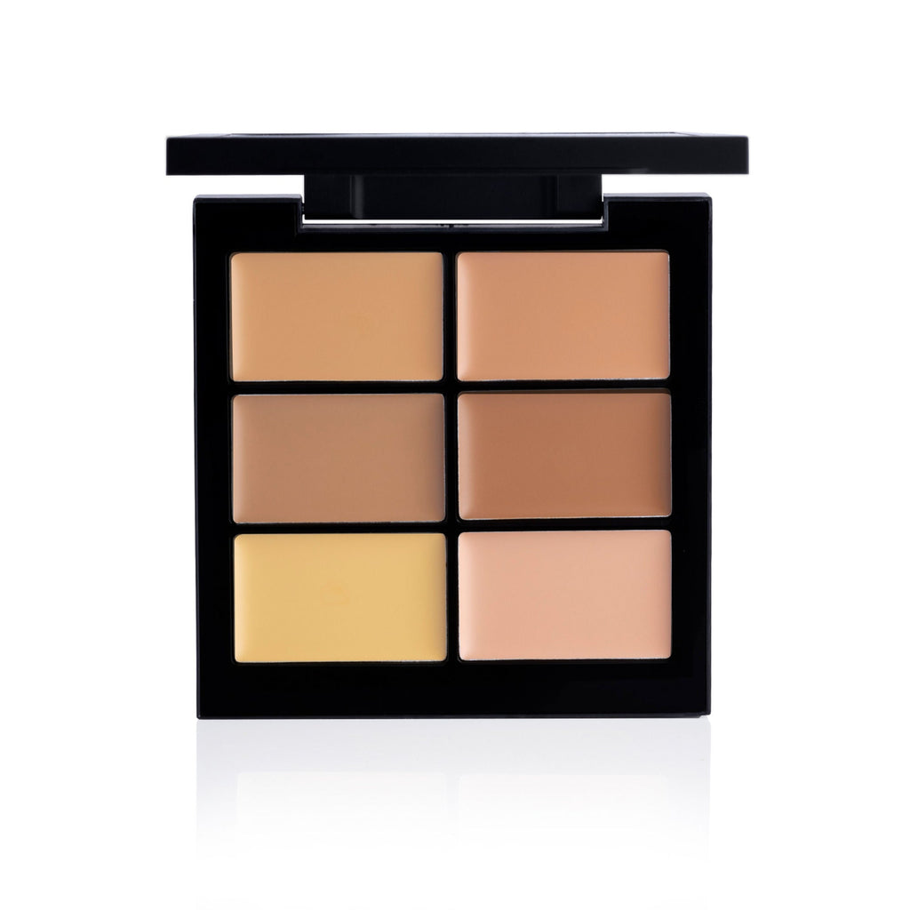 PAC Studio Go Medium - Concealer X6