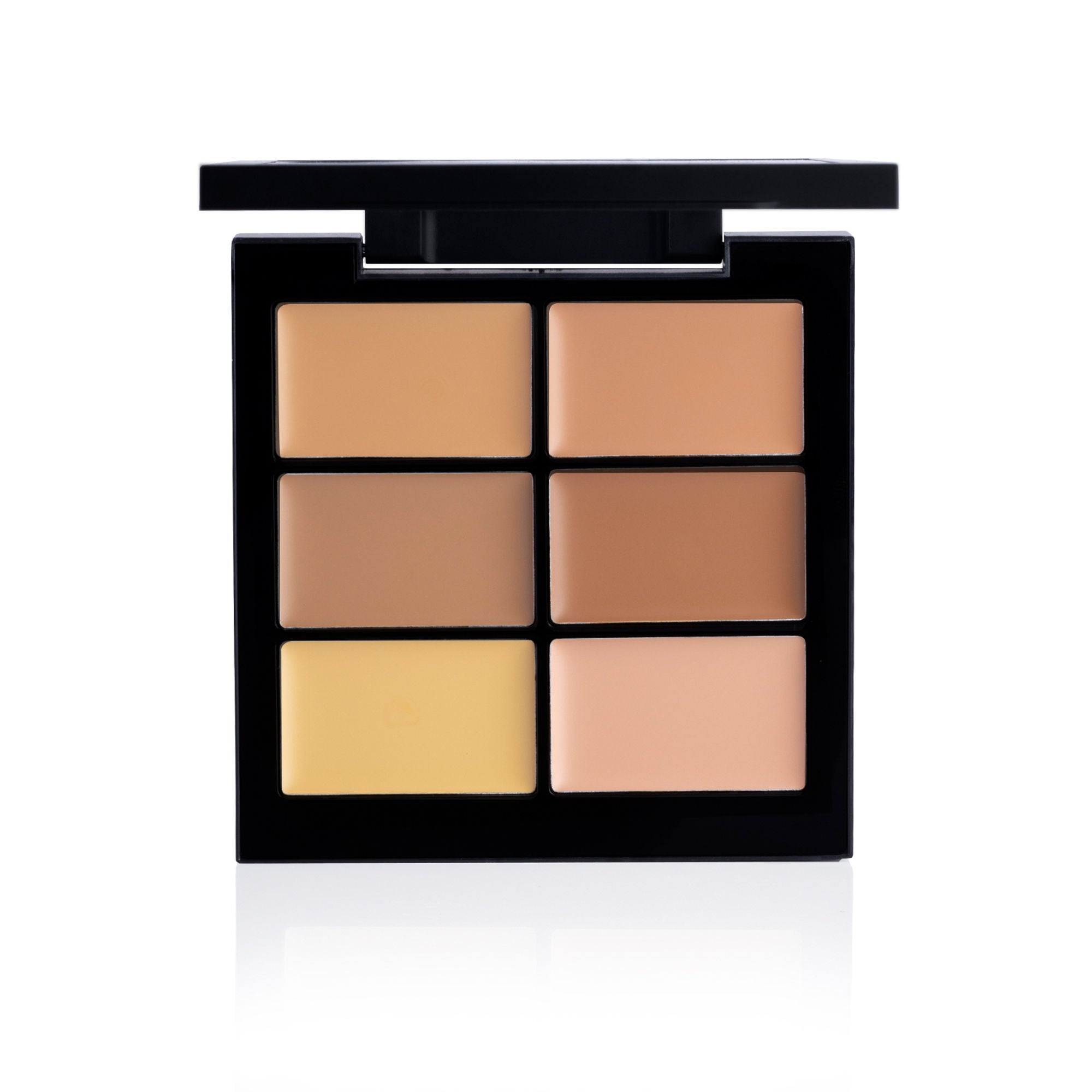 PAC Studio Go Medium - Concealer X6