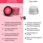Nourish Mantra Rose Repair Lip Balm With Shea Butter & Vitamin E For Dry, Chapped And Dark Lips