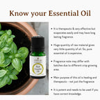 Mitti Se Basil Essential Oil