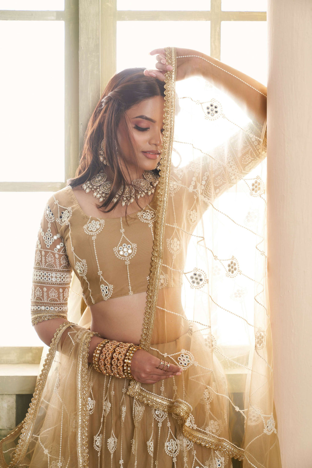 Eilara Classical Khaki Net A - Line Lehenga Choli