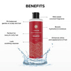 Flawsome Smooth Intentions Moisturizing Shampoo