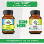 Organic India Giloy Capsules - Distacart