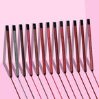 PAC Studio Colorlock Longlasting Lip Liner - Berry Me - Distacart