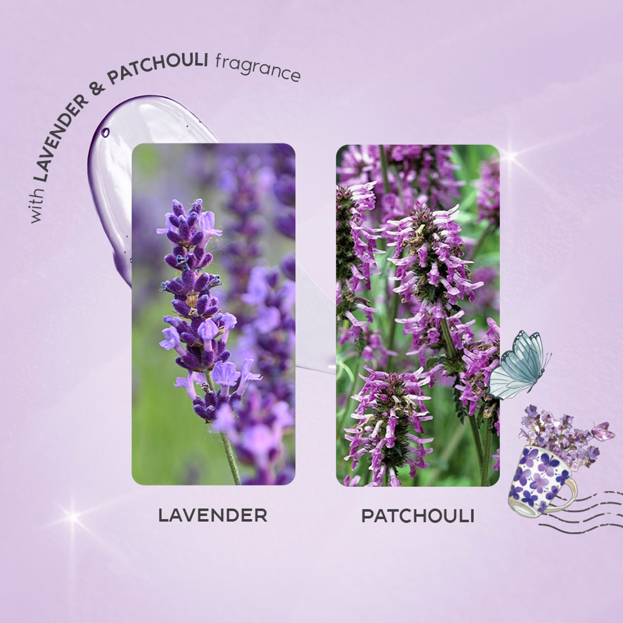 Wanderlust Shower Gels - French Lavender