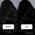 download - 2024-10-15T115744.835