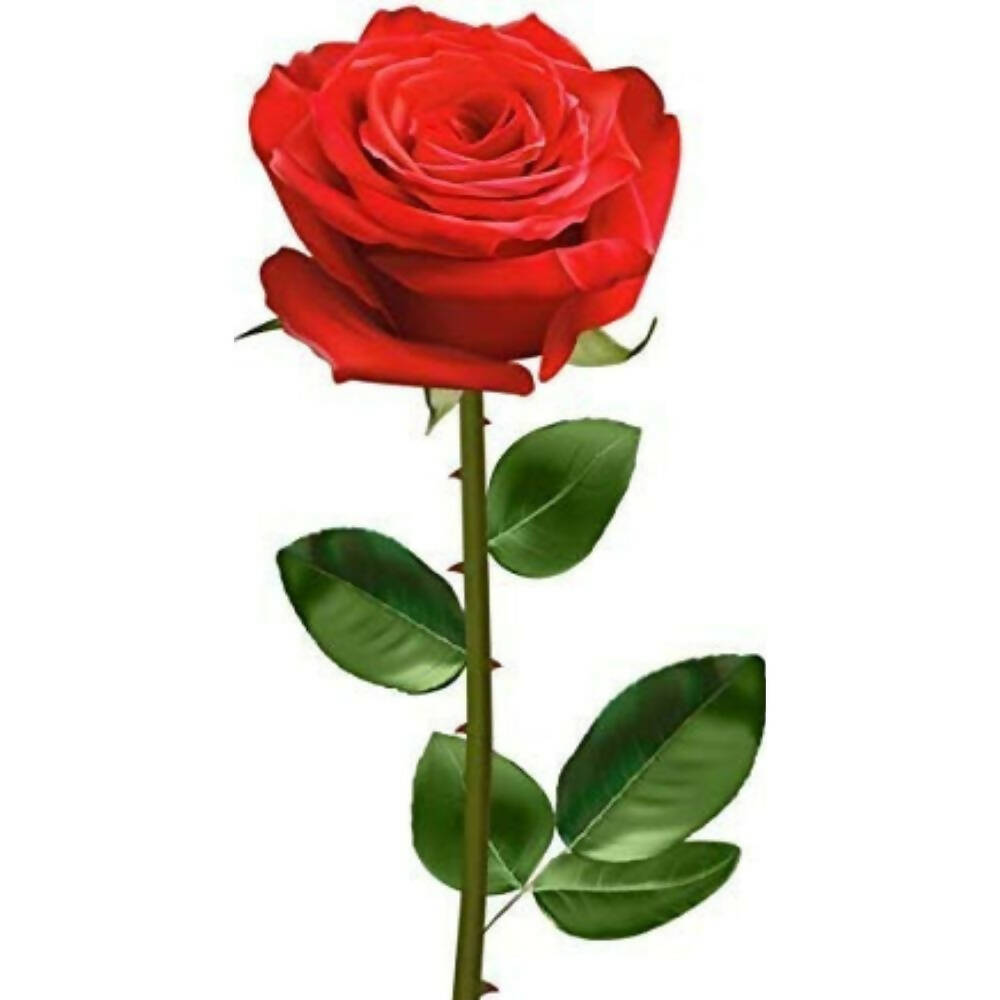 Skytrends Valentine's Day Gifts