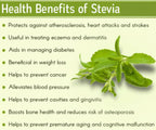 The Indian Chai - Organic Stevia Leaves Tea - Distacart
