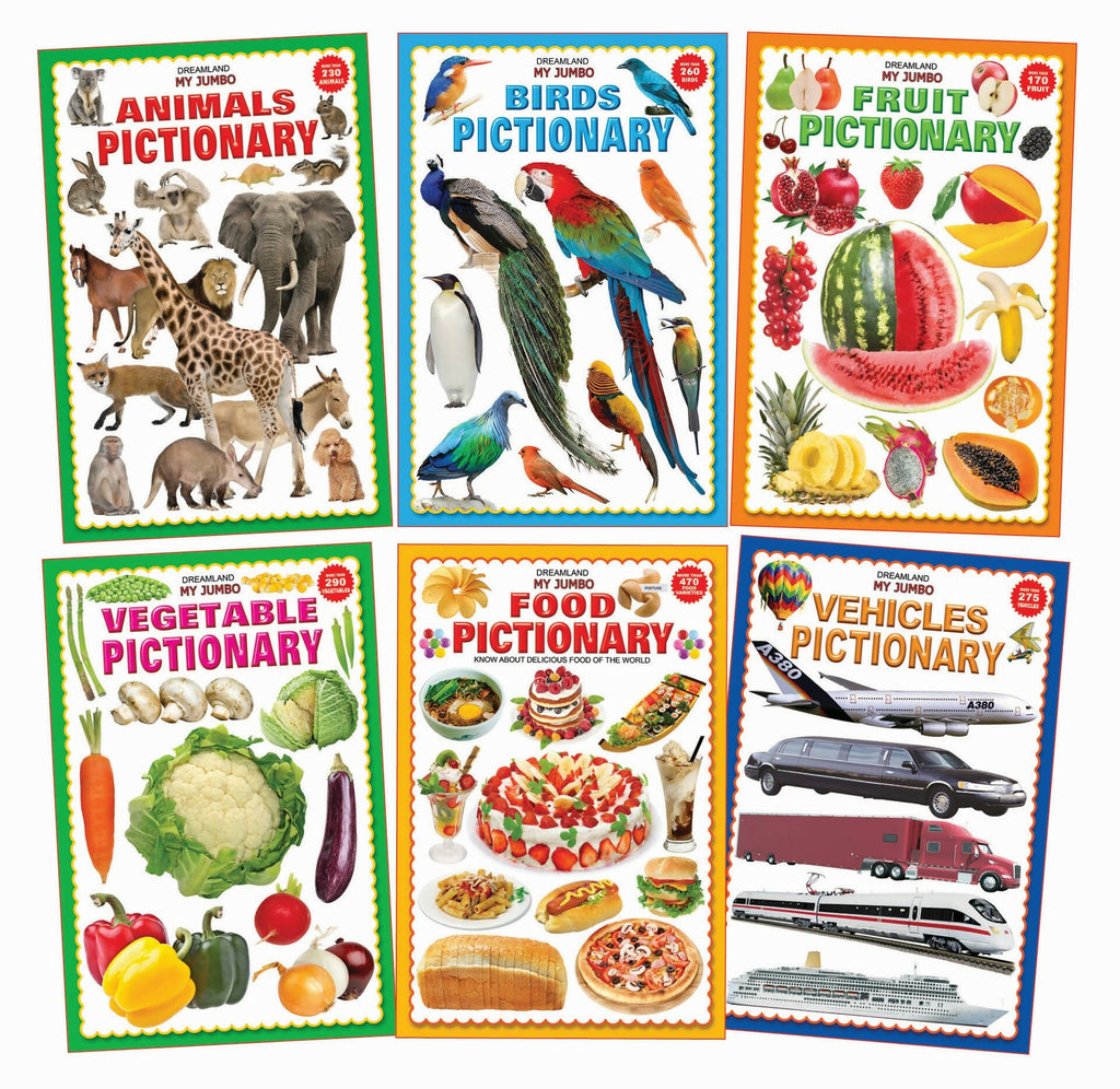 Dreamland Jumbo Pictionary Pack (6 Titles): Children Early Learning Book - Distacart