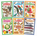 Dreamland Jumbo Pictionary Pack (6 Titles): Children Early Learning Book - Distacart