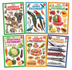 Dreamland Jumbo Pictionary Pack (6 Titles): Children Early Learning Book - Distacart