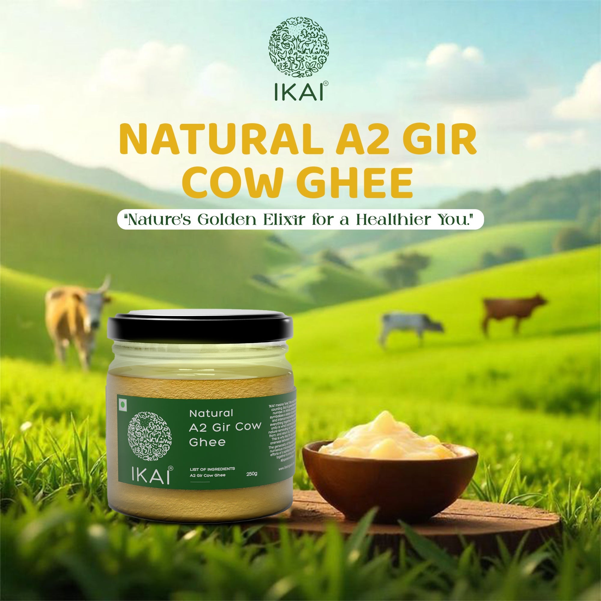 IKAI Natural A2 Gir Cow Ghee - Distacart