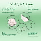 The Pink Foundry Salicylic Acid Acne Face Wash - Distacart