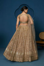 Brown Soft Netzari Embroidery Work Lehenga Choli - Jihu Culture