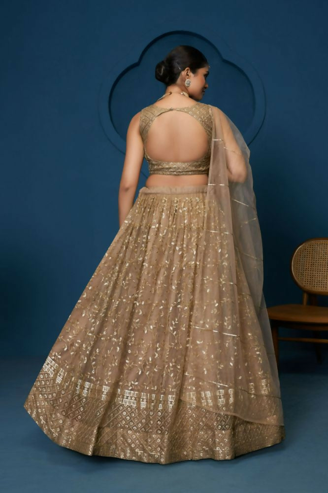 Brown Soft Netzari Embroidery Work Lehenga Choli - Jihu Culture