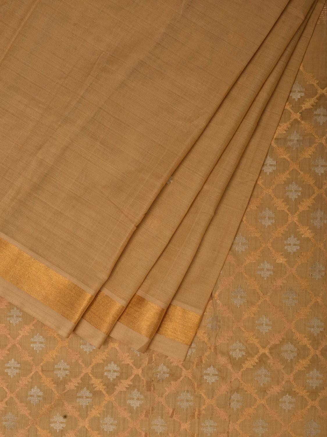 Cream Uppada Cotton Handloom Saree with Jamdani Pallu Design - Global Threads