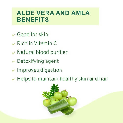 Vitro Naturals Healthy Amla Juice - Distacart