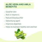 Vitro Naturals Healthy Amla Juice - Distacart