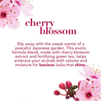 OGX Heavenly Hydration Cherry Blossom Shampoo