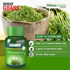 Herbal Canada Wheat Grass Capsules - Distacart