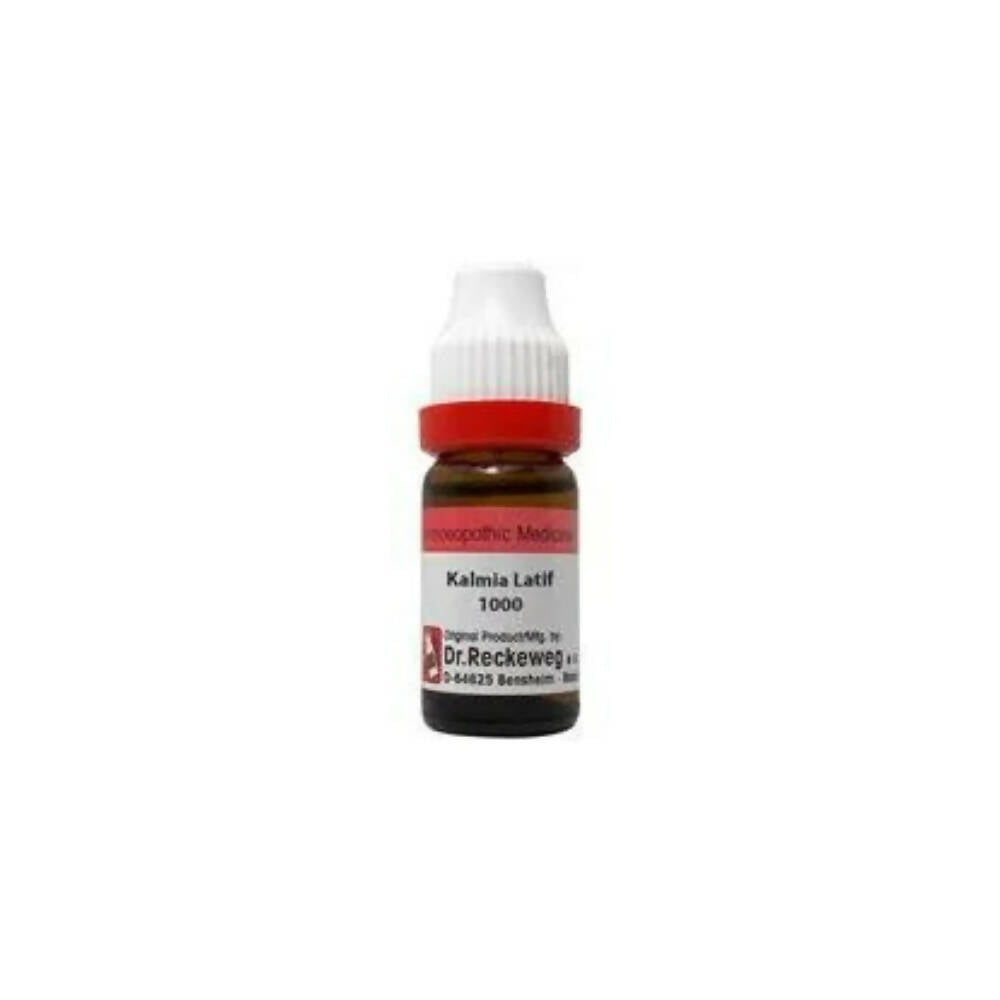 Dr. Reckeweg Kalmia Latif Dilution - Distacart
