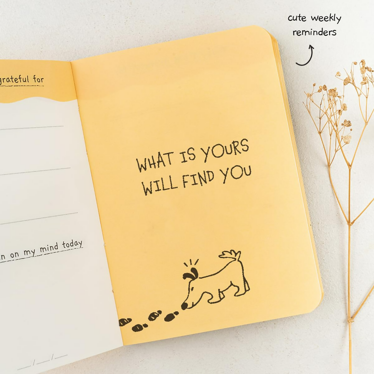 The Journal Lab Pocket Gratitude Journal Pocket Friendly For Men & Women - Distacart