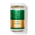 Bath & Body Works Eucalyptus Spearmint Shower Steamers