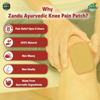 Zandu Ayurvedic Knee Pain Relief Patch - Distacart