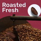 Sleepy Owl Dark Roast Coffee