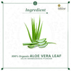 Khadi Natural Organic Aloe Vera Leaf Powder
