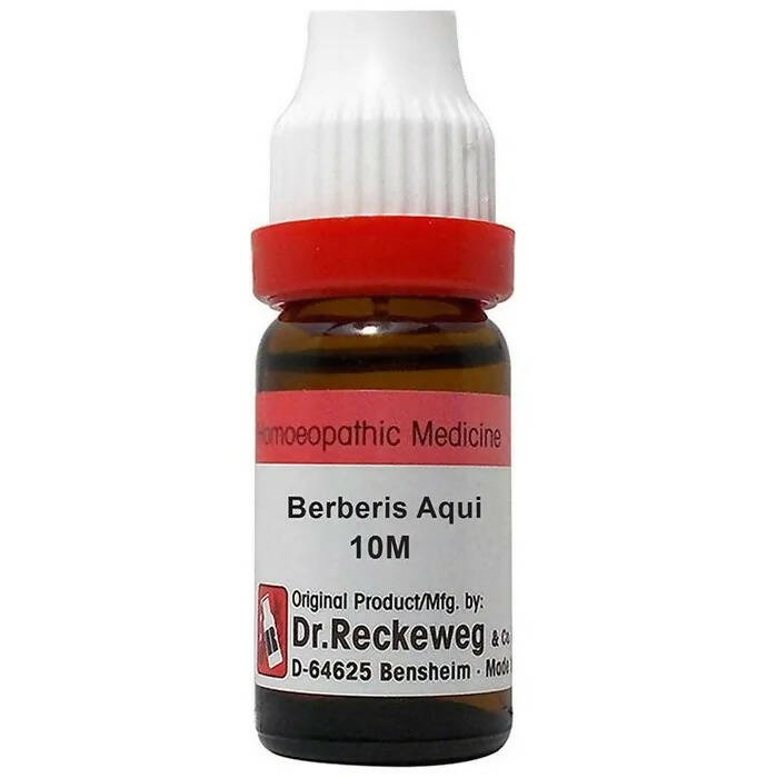 Dr. Reckeweg Berberis Aqui Dilution - Distacart