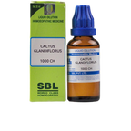 SBL Homeopathy Cactus Grandiflorus Dilution