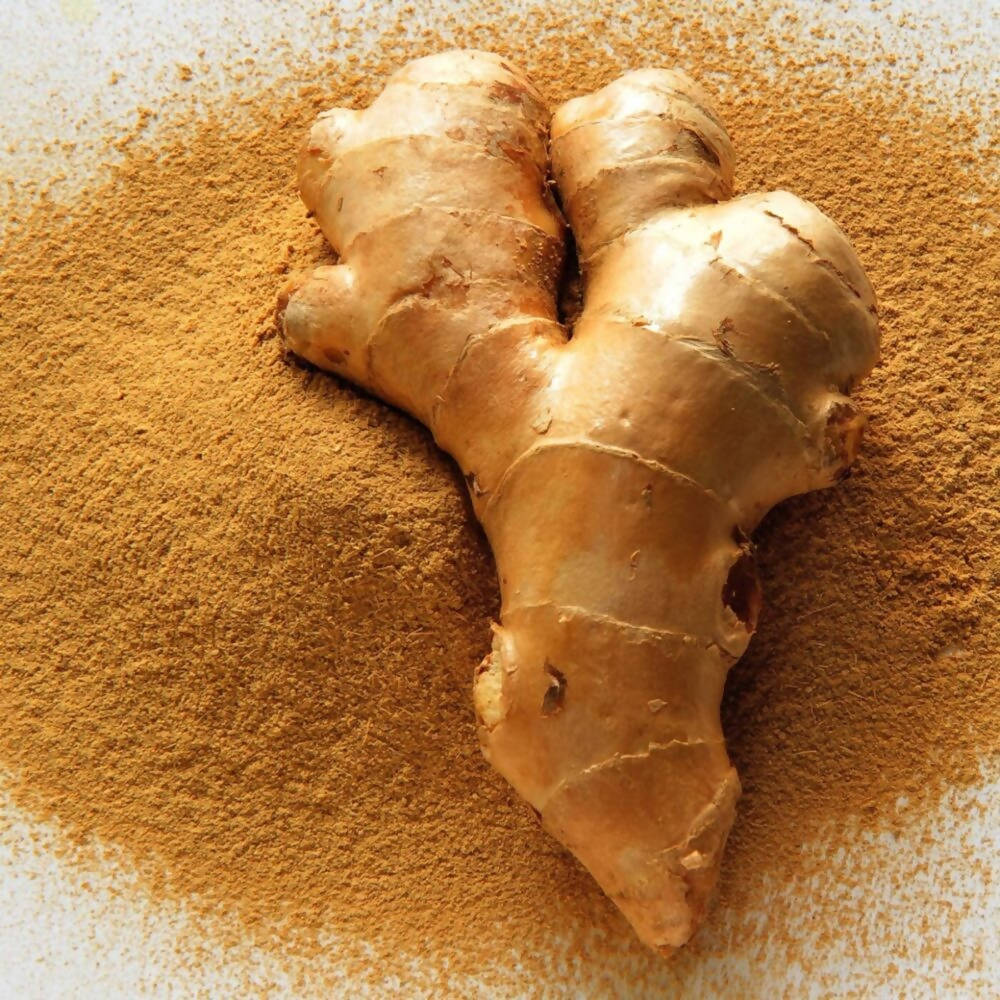 Freshon Dry Ginger Powder - Distacart