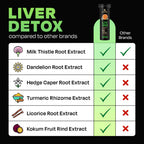 Auric Herbal Liver Support Supplement - Distacart