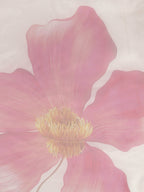 Tikhi Imli White & Pink Organza Printed Saree - Distacart