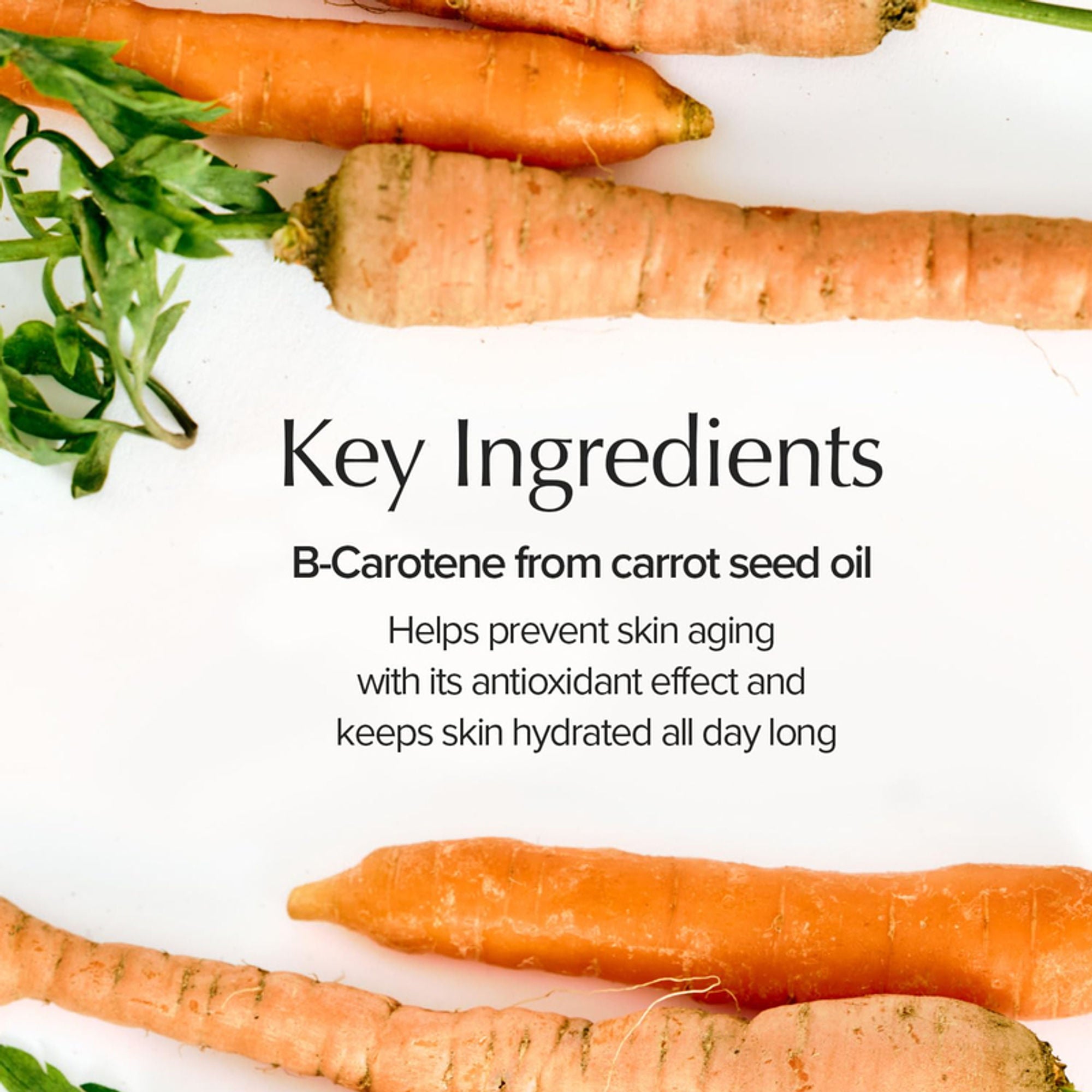 Skinfood Carrot Carotene Moist Effector