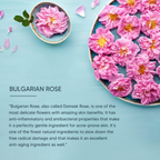 Lotus Professional Dermo Spa Bulgarian Rose Skin Radiance Cream with SPF20