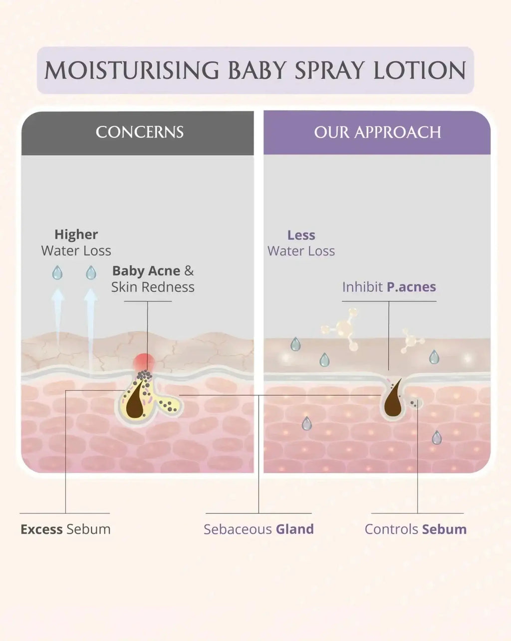 AreoVeda Deep Moisturising Kit