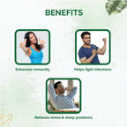Dr. Vaidya's Ashwagandha Capsules - Distacart