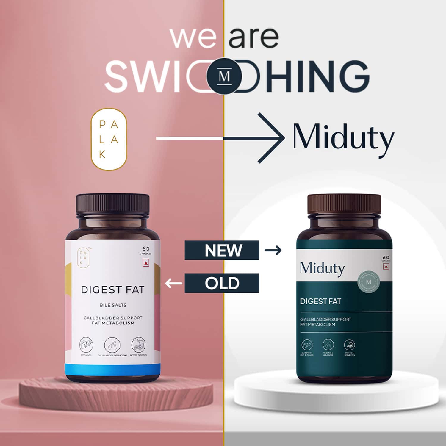 Miduty by Palak Notes Digest Fat Bila Salts Capsules - Distacart