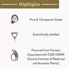 Mitti Se Tea Tree Essential Oil