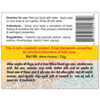 Basic Ayurveda Flash Effect Bathing Bar - Distacart