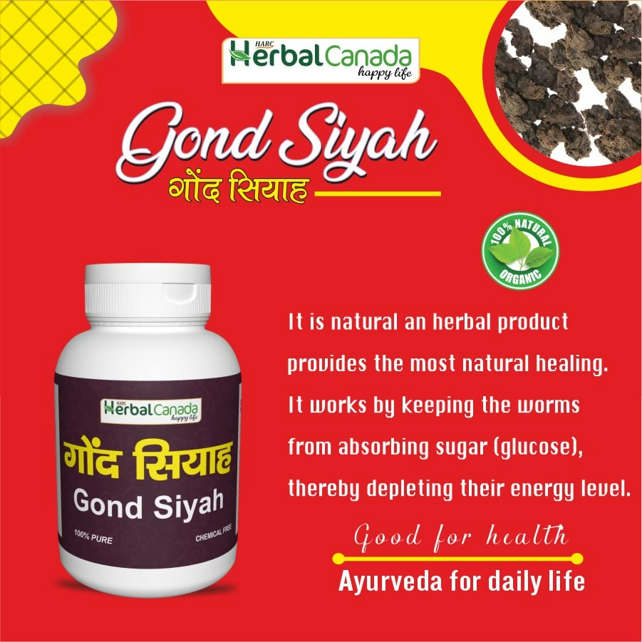 Herbal Canada Gond Siyah Powder - Distacart