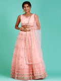 House of Panchhi Peach Net Sequinse Work Lehenga & Blouse, Dupatta