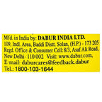 Dabur Nature Care Isabgol - Distacart